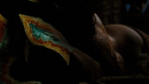 Pic: Susan Strasberg in The Trip