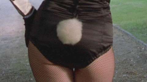 Pic: Renée Zellweger in Bridget Jones's Diary