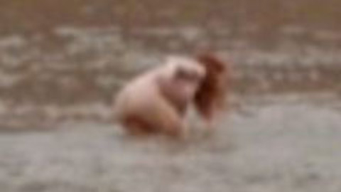 Pic: Renée Zellweger in Appaloosa