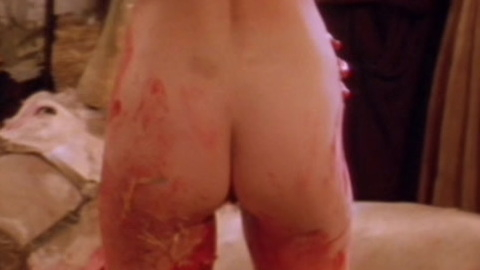 Pic: Julia Ormond in The Baby of Mâcon