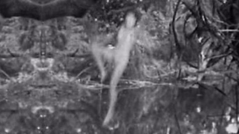 Pic: Maureen O'Sullivan in Tarzan and His Mate