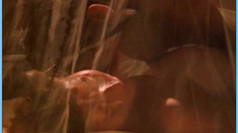 Pic: Carré Otis in Under Heavy Fire