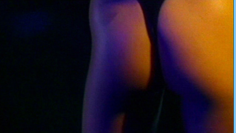 Pic: Shannon Elizabeth in Dish Dogs
