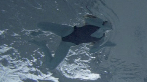 Pic: Keri Russell in Grimm Love