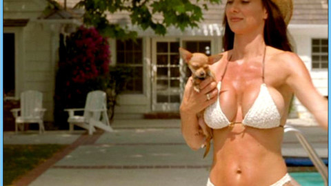 Pic: Debbe Dunning in Now You Know