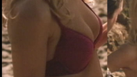 Pic: Claudia Schiffer in In Pursuit