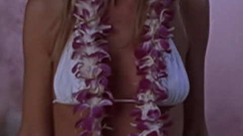 Pic: Tara Reid in National Lampoon's Van Wilder