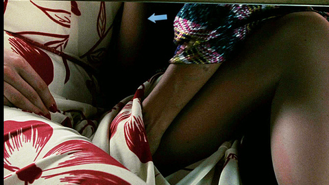 Pic: Saffron Burrows in Frida