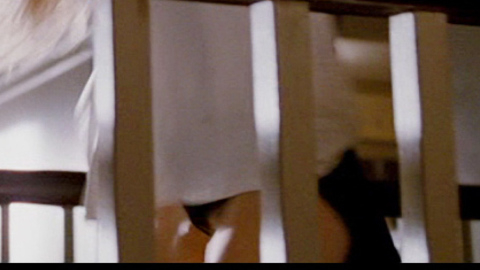 Pic: Ali Larter in Obsessed