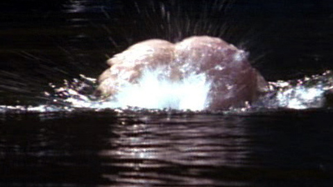 Pic: Hayley DuMond in The Hunter's Moon