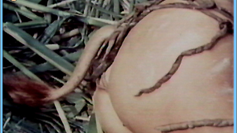 Pic: Senta Berger in When Women Had Tails