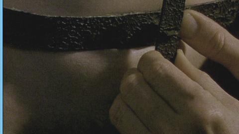 Pic: Laila Robins in The Blood Oranges