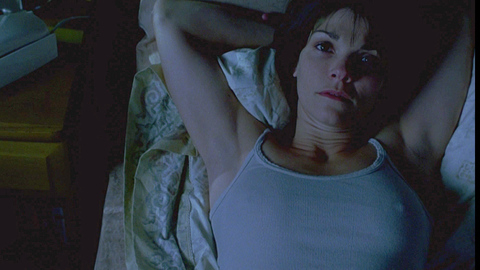 Pic: Kathryn Erbe in Stir of Echoes
