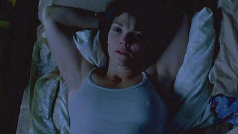 Pic: Kathryn Erbe in Stir of Echoes