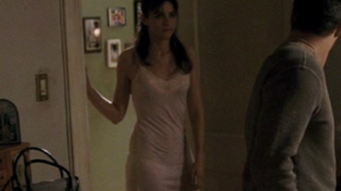Pic: Amanda Peet in What Doesn't Kill You (2008)