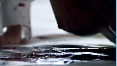 Pic: Cheryl Pollak in No Strings Attached