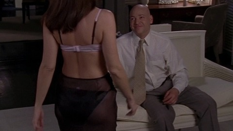 Pic: Kristin Davis in Sex and the City