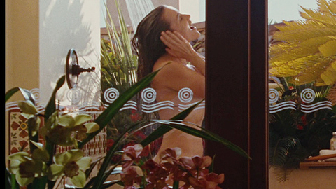 Pic: Kristin Davis in Sex and the City