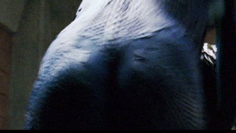 Pic: Rebecca Romijn in X-Men: The Last Stand