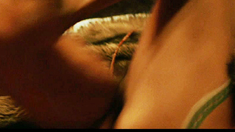 Pic: Rosario Dawson in Alexander