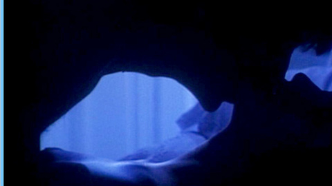 Pic: Marie Gillain in The Elective Affinities