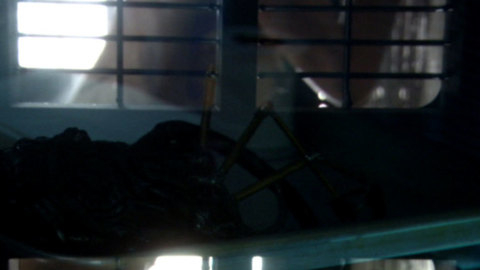 Pic: Bai Ling in The Gene Generation