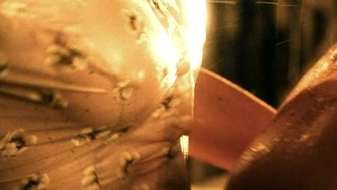 Pic: Polly Walker in Bandyta