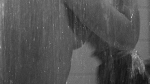 Pic: Janet Leigh in Psycho