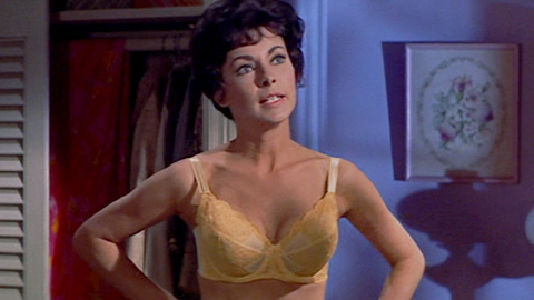 Pic: Janet Leigh in Bye Bye Birdie