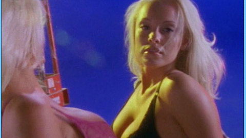 Pic: Jaime Bergman in Son of the Beach