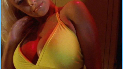 Pic: Jaime Bergman in Son of the Beach