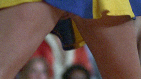 Pic: Michele Drake in The Hollywood Knights