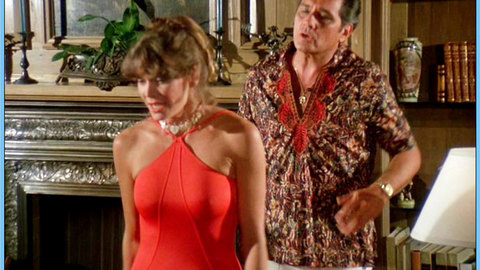 Pic: Pamela Susan Shoop in The Fall Guy