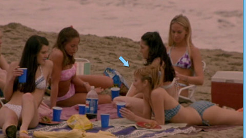 Pic: Bree Turner in American Pie 2