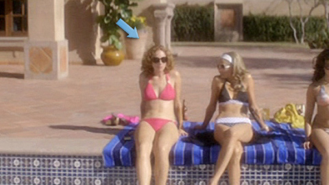 Pic: Judy Greer in Maneater