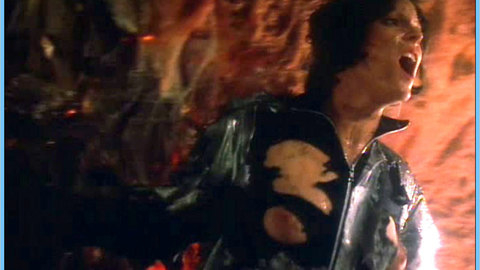 Pic: Lynne Adams in Habitat