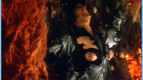 Pic: Lynne Adams in Habitat