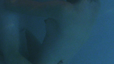 Pic: Kim Dickens in Out of Order