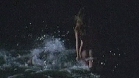 Pic: Kelly Brook in Survival Island