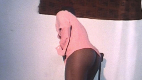 Pic: Cheryl Dunye in The Watermelon Woman