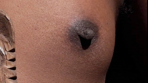 Pic: Cheryl Dunye in The Owls