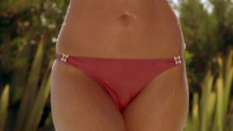 Pic: Susan Ward in Wild Things 2
