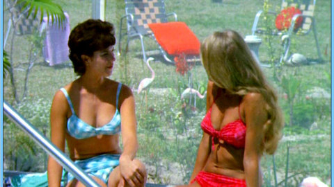 Pic: Connie Mason in Blood Feast