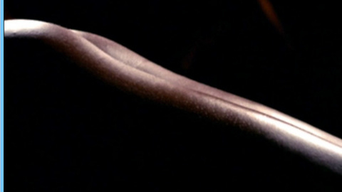 Pic: Victoria Pratt in Xena: Warrior Princess