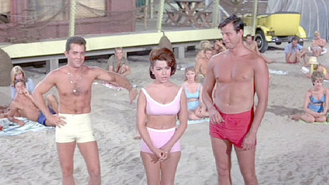 Pic: Annette Funicello in Beach Party