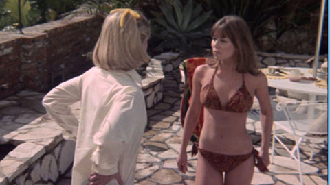 Pic: Jo Ann Harris in The Gay Deceivers