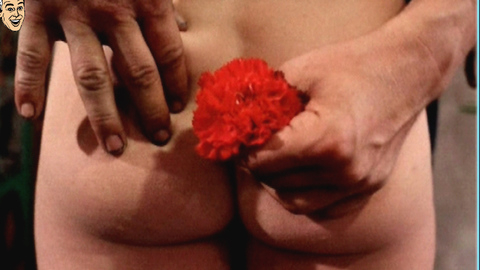 Pic: Monique van de Ven in Turkish Delight