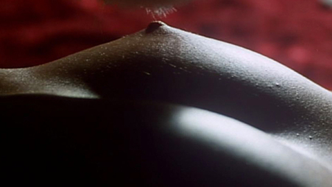 Pic: Florence Guérin in La bonne