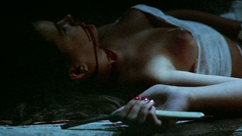 Pic: Katya Berger in The Moon in the Gutter (1983)