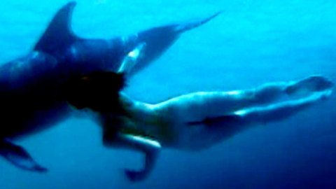 Pic: Julia Brendler in Dolphins